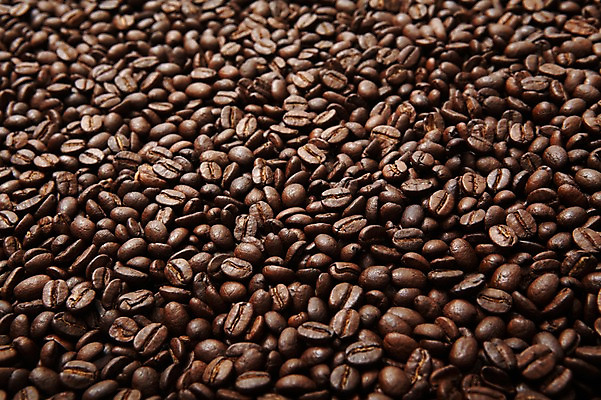 포토 JPG 스튜디오촬영 열매 커피 백그라운드 실내 사람없음 원두 낟알 국내포토 식물 음료 내부 파일형식