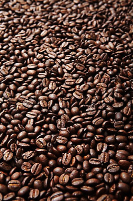 포토 JPG 스튜디오촬영 열매 커피 백그라운드 실내 사람없음 원두 낟알 국내포토 식물 음료 내부 파일형식