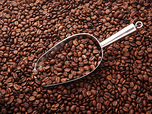 포토 JPG 스튜디오촬영 열매 커피 실내 사람없음 원두 낟알 스쿱 국내포토 식물 음료 내부 파일형식