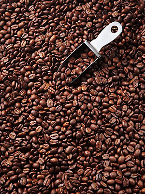 포토 JPG 스튜디오촬영 열매 커피 실내 사람없음 원두 낟알 스쿱 국내포토 식물 음료 내부 파일형식