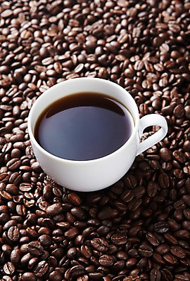 포토 JPG 스튜디오촬영 열매 커피 음료 실내 사람없음 원두 차 커피잔 낟알 국내포토 식물 잔 내부 파일형식