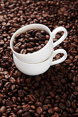 포토 JPG 스튜디오촬영 열매 커피 잔 실내 사람없음 원두 커피잔 낟알 국내포토 식물 식기 음료 내부 파일형식