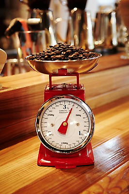 포토 식물 커피 음료 내부 상점 파일형식 JPG 원두 열매 사람없음 저울 실내 카페 낟알 무게 국내포토