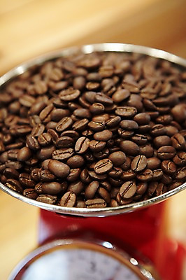 포토 JPG 열매 커피 실내 저울 사람없음 카페 원두 무게 낟알 국내포토 식물 음료 내부 상점 파일형식