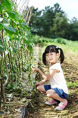 포토 JPG 주간 전신 학생 라이프스타일 여자 어린이교육 교육 어린이라이프 초등학생 어린이 포즈 밭 채소 모션 양갈래머리 오이 한명 미소 웃음 사람 앉기 동양인 소녀 야외 라이프 10대 농작물 농장 흙 한국인 농촌 시골 체험학습 체험 농장체험 오이밭 여자만 여자한명만 소녀만 국내포토 자연요소 1 헤어스타일 컨셉 농업 청소년 표정 인종 생활 어린이만 파일형식