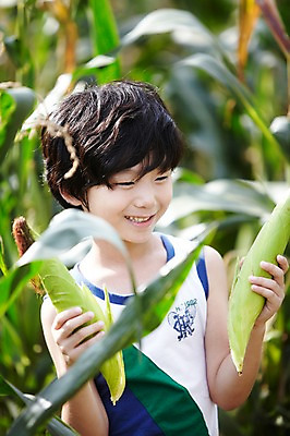 포토 JPG 주간 학생 라이프스타일 응시 여자 어린이교육 교육 남자 어린이라이프 초등학생 어린이 포즈 밭 모션 곡류 옥수수 한명 서기 미소 웃음 들기 사람 동양인 소녀 소년 상반신 야외 라이프 10대 농장 한국인 농촌 시골 체험학습 체험 농장체험 옥수수밭 십대만 국내포토 자연요소 1 시선 컨셉 농업 청소년 표정 인종 생활 파일형식