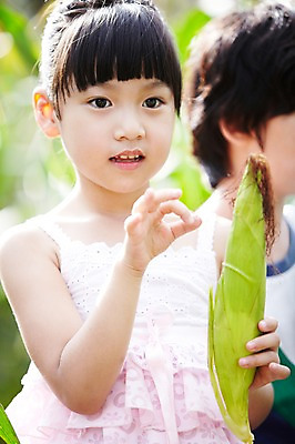 포토 JPG 주간 학생 라이프스타일 여자 어린이교육 교육 남자 어린이라이프 초등학생 어린이 포즈 밭 모션 곡류 옥수수 서기 미소 웃음 들기 사람 동양인 소녀 소년 상반신 야외 두명 라이프 앞모습 10대 농장 한국인 농촌 시골 체험학습 체험 농장체험 옥수수밭 십대만 국내포토 자연요소 뷰포인트 컨셉 농업 청소년 표정 인종 생활 파일형식
