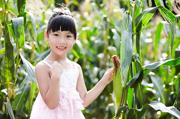 포토 JPG 주간 학생 라이프스타일 여자 어린이교육 교육 어린이라이프 초등학생 어린이 포즈 밭 모션 곡류 옥수수 한명 서기 미소 웃음 사람 동양인 소녀 상반신 야외 라이프 앞모습 10대 농장 한국인 농촌 시골 체험학습 체험 농장체험 옥수수밭 여자만 여자한명만 소녀만 국내포토 자연요소 1 뷰포인트 컨셉 농업 청소년 표정 인종 생활 어린이만 파일형식