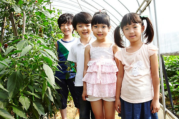 포토 JPG 주간 학생 라이프스타일 여자 어린이교육 교육 남자 어린이라이프 초등학생 어린이 포즈 밭 모션 서기 미소 웃음 사람 동양인 소녀 소년 여러명 야외 라이프 앞모습 10대 친구 농장 흙 한국인 농촌 시골 체험학습 체험 농장체험 비닐하우스 십대만 국내포토 자연요소 뷰포인트 다수 컨셉 농업 관계 청소년 표정 인종 생활 파일형식