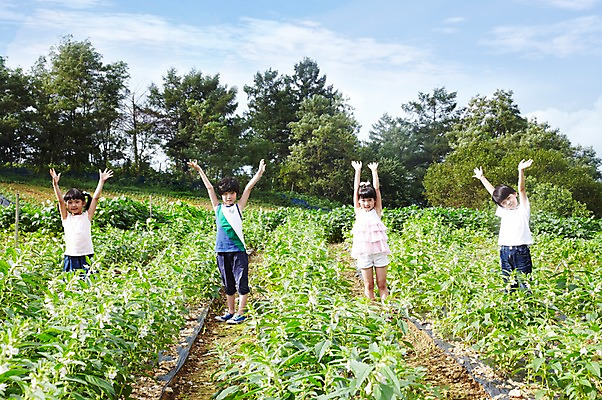 포토 JPG 주간 전신 나무 구름 학생 라이프스타일 여자 어린이교육 교육 남자 어린이라이프 초등학생 어린이 포즈 밭 모션 하늘 서기 미소 웃음 사람 동양인 소녀 소년 여러명 야외 라이프 앞모습 10대 친구 농장 손들기 흙 한국인 농촌 시골 체험학습 체험 농장체험 십대만 국내포토 자연요소 식물 뷰포인트 다수 컨셉 농업 관계 청소년 표정 인종 생활 파일형식