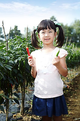 포토 JPG 주간 학생 라이프스타일 여자 어린이교육 교육 어린이라이프 초등학생 어린이 포즈 밭 채소 모션 고추 양갈래머리 한명 서기 미소 웃음 들기 사람 동양인 소녀 상반신 야외 라이프 앞모습 10대 농작물 농장 흙 한국인 농촌 시골 체험학습 체험 농장체험 고추밭 여자만 여자한명만 소녀만 국내포토 자연요소 1 헤어스타일 뷰포인트 컨셉 농업 청소년 표정 인종 생활 어린이만 파일형식