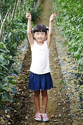 포토 JPG 주간 전신 학생 라이프스타일 여자 어린이교육 교육 어린이라이프 초등학생 어린이 포즈 밭 채소 모션 고추 양갈래머리 한명 서기 미소 웃음 들기 사람 동양인 소녀 야외 라이프 앞모습 10대 농작물 농장 손들기 흙 한국인 농촌 시골 체험학습 체험 농장체험 고추밭 여자만 여자한명만 소녀만 국내포토 자연요소 1 헤어스타일 뷰포인트 컨셉 농업 청소년 표정 인종 생활 어린이만 파일형식