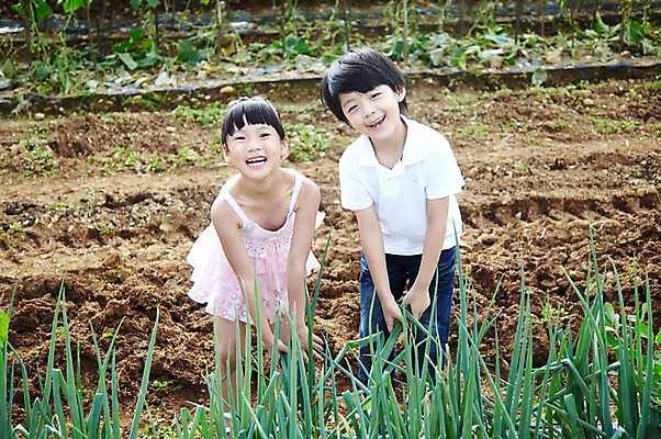 포토 JPG 주간 학생 라이프스타일 여자 어린이교육 교육 남자 어린이라이프 초등학생 어린이 포즈 밭 채소 모션 서기 미소 웃음 사람 동양인 소녀 소년 야외 두명 라이프 앞모습 10대 친구 농장 흙 한국인 농촌 시골 체험학습 체험 파 농장체험 파밭 십대만 국내포토 자연요소 뷰포인트 컨셉 농업 관계 청소년 표정 인종 생활 파일형식