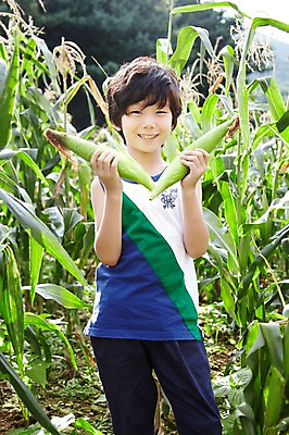포토 JPG 주간 학생 라이프스타일 어린이교육 교육 남자 어린이라이프 초등학생 어린이 포즈 밭 모션 곡류 옥수수 한명 서기 미소 웃음 들기 사람 동양인 소년 야외 라이프 앞모습 10대 농장 한국인 농촌 시골 체험학습 체험 농장체험 옥수수밭 남자만 남자한명만 십대만 십대남자만 십대남자한명만 국내포토 자연요소 1 뷰포인트 컨셉 농업 청소년 표정 인종 생활 파일형식