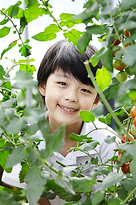 포토 JPG 주간 학생 라이프스타일 어린이교육 교육 남자 어린이라이프 초등학생 어린이 포즈 밭 토마토 채소 모션 방울토마토 한명 서기 미소 웃음 사람 동양인 소년 상반신 야외 라이프 앞모습 10대 농장 농경지 한국인 농촌 시골 체험학습 체험 농장체험 비닐하우스 남자만 남자한명만 십대만 십대남자만 십대남자한명만 국내포토 자연요소 1 뷰포인트 컨셉 농업 청소년 표정 인종 생활 파일형식