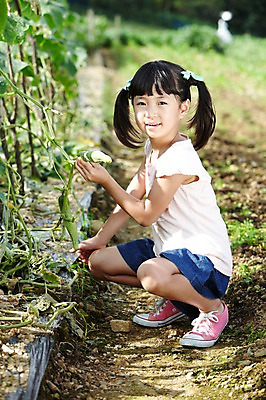 포토 JPG 주간 전신 학생 라이프스타일 여자 어린이교육 교육 어린이라이프 초등학생 어린이 포즈 밭 채소 모션 양갈래머리 오이 한명 미소 웃음 사람 앉기 동양인 소녀 야외 라이프 10대 농작물 농장 흙 한국인 농촌 시골 체험학습 체험 농장체험 오이밭 여자만 여자한명만 소녀만 국내포토 자연요소 1 헤어스타일 컨셉 농업 청소년 표정 인종 생활 어린이만 파일형식