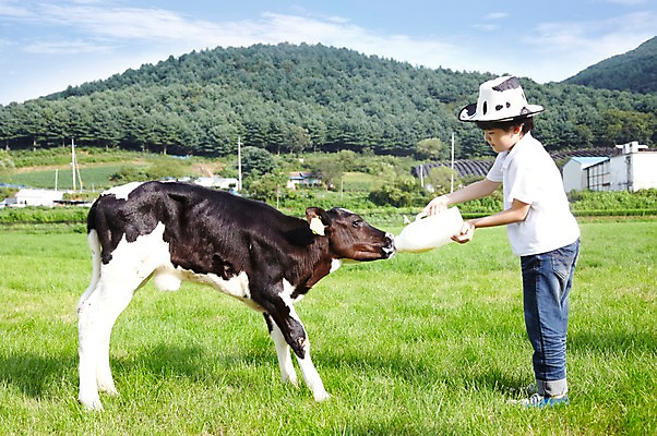 포토 JPG 주간 전신 모자 한마리 학생 라이프스타일 응시 어린이교육 교육 남자 어린이라이프 초등학생 어린이 포즈 포유류 모션 하늘 산 한명 서기 미소 웃음 사람 동양인 소년 초원 야외 라이프 옆모습 10대 농장 목장 한국인 우유 농촌 시골 체험학습 체험 풀 소 숲 젖소 주기 목장체험 남자만 남자한명만 십대만 십대남자만 십대남자한명만 국내포토 자연요소 식물 동물 1 시선 잡화 뷰포인트 컨셉 농업 청소년 유제품 표정 인종 생활 파일형식