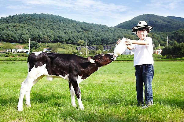 포토 JPG 주간 전신 모자 한마리 학생 라이프스타일 어린이교육 교육 남자 어린이라이프 초등학생 어린이 포즈 포유류 모션 하늘 산 한명 서기 미소 웃음 사람 동양인 소년 초원 야외 라이프 10대 농장 목장 한국인 우유 농촌 시골 체험학습 체험 풀 소 숲 젖소 주기 목장체험 남자만 남자한명만 십대만 십대남자만 십대남자한명만 국내포토 자연요소 식물 동물 1 잡화 컨셉 농업 청소년 유제품 표정 인종 생활 파일형식