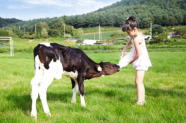 포토 JPG 주간 전신 한마리 학생 라이프스타일 응시 여자 어린이교육 교육 어린이라이프 초등학생 어린이 포즈 포유류 모션 하늘 산 한명 서기 미소 웃음 사람 동양인 소녀 초원 야외 라이프 옆모습 10대 농장 목장 한국인 우유 농촌 시골 체험학습 체험 풀 소 숲 젖소 주기 목장체험 여자만 여자한명만 소녀만 국내포토 자연요소 식물 동물 1 시선 뷰포인트 컨셉 농업 청소년 유제품 표정 인종 생활 어린이만 파일형식