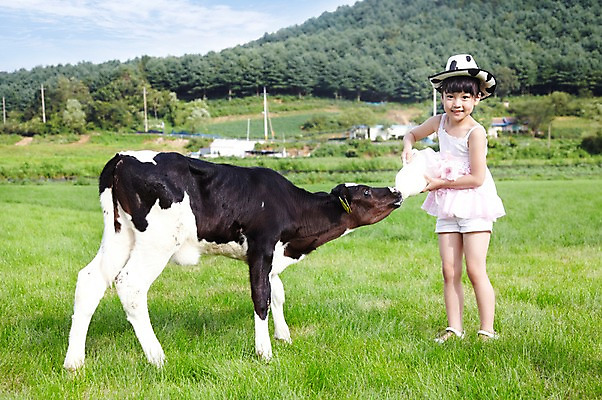 포토 JPG 주간 전신 모자 한마리 학생 라이프스타일 여자 어린이교육 교육 어린이라이프 초등학생 어린이 포즈 포유류 모션 하늘 산 한명 서기 미소 웃음 사람 동양인 소녀 초원 야외 라이프 10대 농장 목장 한국인 우유 농촌 시골 체험학습 체험 풀 소 숲 젖소 주기 목장체험 여자만 여자한명만 소녀만 국내포토 자연요소 식물 동물 1 잡화 컨셉 농업 청소년 유제품 표정 인종 생활 어린이만 파일형식