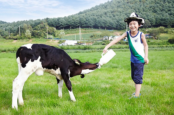 포토 JPG 주간 전신 모자 한마리 학생 라이프스타일 어린이교육 교육 남자 어린이라이프 초등학생 어린이 포즈 포유류 모션 하늘 산 한명 서기 미소 웃음 사람 동양인 소년 초원 야외 라이프 10대 농장 목장 한국인 우유 농촌 시골 체험학습 체험 풀 소 숲 젖소 주기 목장체험 남자만 남자한명만 십대만 십대남자만 십대남자한명만 국내포토 자연요소 식물 동물 1 잡화 컨셉 농업 청소년 유제품 표정 인종 생활 파일형식