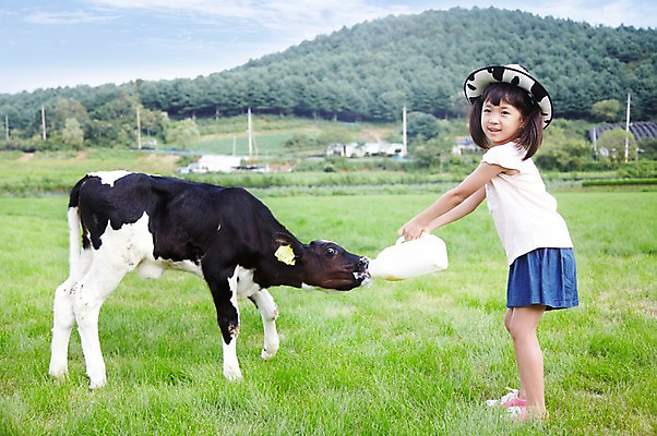 포토 JPG 주간 전신 모자 한마리 학생 라이프스타일 여자 어린이교육 교육 어린이라이프 초등학생 어린이 포즈 포유류 모션 하늘 산 한명 서기 미소 웃음 사람 동양인 소녀 초원 야외 라이프 10대 농장 목장 한국인 우유 농촌 시골 체험학습 체험 풀 소 숲 젖소 주기 목장체험 여자만 여자한명만 소녀만 국내포토 자연요소 식물 동물 1 잡화 컨셉 농업 청소년 유제품 표정 인종 생활 어린이만 파일형식