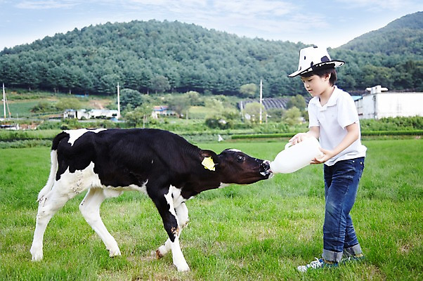 포토 JPG 주간 전신 모자 한마리 학생 라이프스타일 응시 어린이교육 교육 남자 어린이라이프 초등학생 어린이 포즈 포유류 모션 하늘 산 한명 서기 미소 웃음 사람 동양인 소년 초원 야외 라이프 옆모습 10대 농장 목장 한국인 우유 농촌 시골 체험학습 체험 풀 소 숲 젖소 주기 목장체험 남자만 남자한명만 십대만 십대남자만 십대남자한명만 국내포토 자연요소 식물 동물 1 시선 잡화 뷰포인트 컨셉 농업 청소년 유제품 표정 인종 생활 파일형식