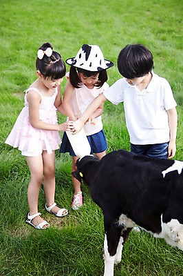포토 JPG 주간 전신 모자 한마리 학생 라이프스타일 응시 여자 어린이교육 교육 남자 어린이라이프 초등학생 어린이 포즈 포유류 모션 산 서기 미소 웃음 사람 동양인 소녀 소년 초원 야외 라이프 10대 세명 농장 목장 한국인 우유 농촌 시골 체험학습 체험 풀 소 숲 젖소 주기 목장체험 십대만 국내포토 자연요소 식물 동물 1 시선 잡화 컨셉 농업 청소년 유제품 표정 인종 생활 파일형식