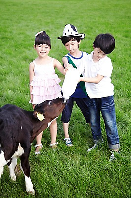 포토 JPG 주간 전신 모자 한마리 학생 라이프스타일 여자 어린이교육 교육 남자 어린이라이프 초등학생 어린이 포즈 포유류 모션 산 서기 미소 웃음 사람 동양인 소녀 소년 초원 야외 라이프 10대 세명 농장 목장 한국인 우유 농촌 시골 체험학습 체험 풀 소 숲 젖소 주기 목장체험 십대만 국내포토 자연요소 식물 동물 1 잡화 컨셉 농업 청소년 유제품 표정 인종 생활 파일형식