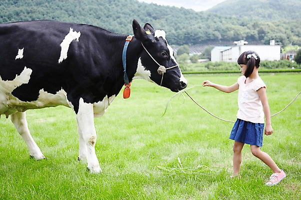 포토 JPG 주간 전신 한마리 학생 라이프스타일 응시 여자 어린이교육 교육 어린이라이프 초등학생 어린이 포즈 포유류 모션 한명 서기 미소 웃음 사람 동양인 소녀 초원 야외 라이프 10대 농장 목장 한국인 농촌 시골 체험학습 체험 풀 소 숲 먹이 젖소 주기 목장체험 여물 여자만 여자한명만 소녀만 국내포토 자연요소 식물 동물 1 시선 컨셉 농업 청소년 표정 인종 생활 어린이만 파일형식