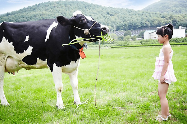 포토 JPG 주간 전신 한마리 학생 라이프스타일 응시 여자 어린이교육 교육 어린이라이프 초등학생 어린이 포즈 포유류 모션 한명 서기 미소 웃음 사람 동양인 소녀 초원 야외 라이프 10대 농장 목장 한국인 농촌 시골 체험학습 체험 풀 소 숲 먹이 젖소 주기 목장체험 여물 여자만 여자한명만 소녀만 국내포토 자연요소 식물 동물 1 시선 컨셉 농업 청소년 표정 인종 생활 어린이만 파일형식