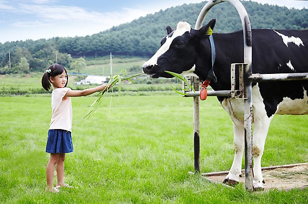 포토 JPG 주간 전신 한마리 학생 라이프스타일 응시 여자 어린이교육 교육 어린이라이프 초등학생 어린이 포즈 포유류 모션 한명 서기 미소 웃음 사람 동양인 소녀 초원 야외 라이프 10대 농장 목장 한국인 농촌 시골 체험학습 체험 풀 소 숲 먹이 젖소 주기 목장체험 여물 여자만 여자한명만 소녀만 국내포토 자연요소 식물 동물 1 시선 컨셉 농업 청소년 표정 인종 생활 어린이만 파일형식