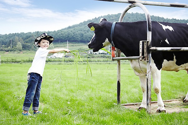 포토 JPG 주간 전신 구름 모자 한마리 학생 라이프스타일 어린이교육 교육 남자 어린이라이프 초등학생 어린이 포즈 포유류 모션 하늘 한명 서기 미소 웃음 사람 동양인 소년 초원 야외 라이프 10대 농장 목장 한국인 농촌 시골 체험학습 체험 풀 소 숲 먹이 젖소 주기 목장체험 여물 남자만 남자한명만 십대만 십대남자만 십대남자한명만 국내포토 자연요소 식물 동물 1 잡화 컨셉 농업 청소년 표정 인종 생활 파일형식