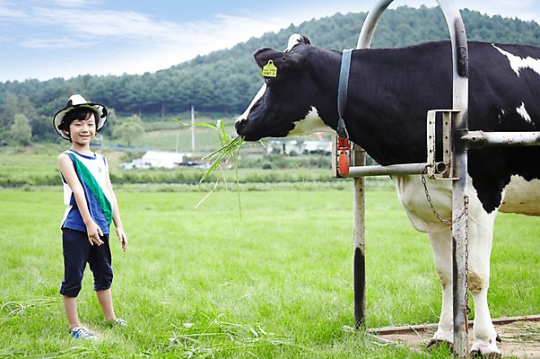 포토 JPG 주간 전신 구름 모자 한마리 학생 라이프스타일 어린이교육 교육 남자 어린이라이프 초등학생 어린이 포즈 포유류 모션 하늘 한명 서기 미소 웃음 사람 동양인 소년 초원 야외 라이프 10대 농장 목장 한국인 농촌 시골 체험학습 체험 풀 소 숲 먹이 젖소 주기 목장체험 여물 남자만 남자한명만 십대만 십대남자만 십대남자한명만 국내포토 자연요소 식물 동물 1 잡화 컨셉 농업 청소년 표정 인종 생활 파일형식