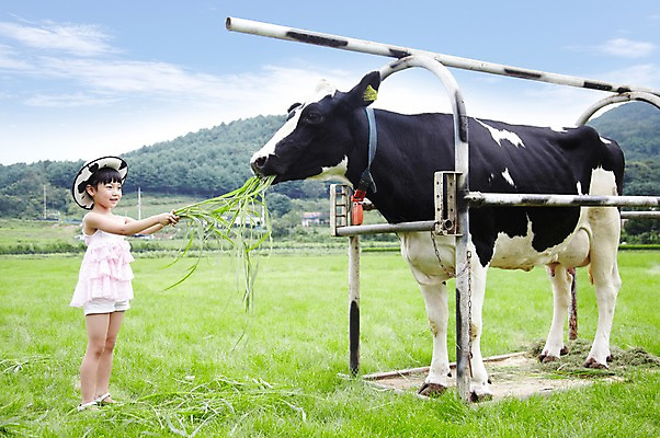 포토 JPG 주간 전신 모자 한마리 학생 라이프스타일 응시 여자 어린이교육 교육 어린이라이프 초등학생 어린이 포즈 포유류 모션 한명 서기 미소 웃음 사람 동양인 소녀 초원 야외 라이프 10대 농장 목장 한국인 농촌 시골 체험학습 체험 풀 소 숲 먹이 젖소 주기 목장체험 여물 여자만 여자한명만 소녀만 국내포토 자연요소 식물 동물 1 시선 잡화 컨셉 농업 청소년 표정 인종 생활 어린이만 파일형식
