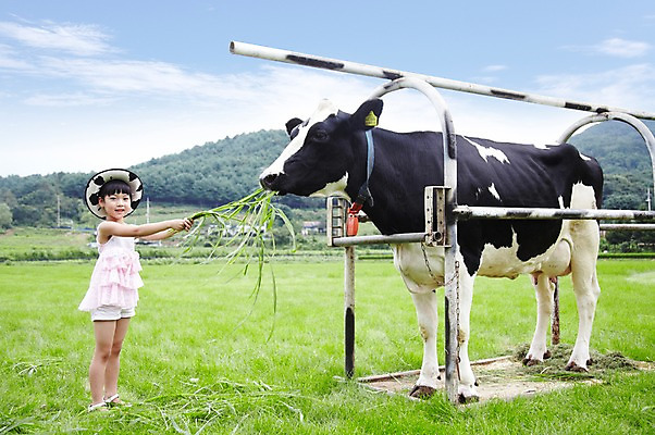 포토 JPG 주간 전신 구름 모자 한마리 학생 라이프스타일 여자 어린이교육 교육 어린이라이프 초등학생 어린이 포즈 포유류 모션 하늘 한명 서기 미소 웃음 사람 동양인 소녀 초원 야외 라이프 10대 농장 목장 한국인 농촌 시골 체험학습 체험 풀 소 숲 먹이 젖소 주기 목장체험 여물 여자만 여자한명만 소녀만 국내포토 자연요소 식물 동물 1 잡화 컨셉 농업 청소년 표정 인종 생활 어린이만 파일형식