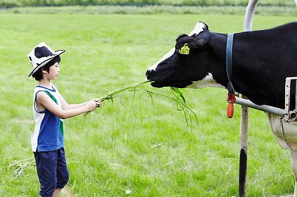 포토 JPG 주간 모자 한마리 학생 라이프스타일 응시 어린이교육 교육 남자 어린이라이프 초등학생 어린이 포즈 포유류 모션 한명 서기 미소 웃음 사람 동양인 소년 초원 상반신 야외 라이프 옆모습 10대 농장 목장 한국인 농촌 시골 체험학습 체험 풀 소 숲 먹이 젖소 주기 목장체험 여물 남자만 남자한명만 십대만 십대남자만 십대남자한명만 국내포토 자연요소 식물 동물 1 시선 잡화 뷰포인트 컨셉 농업 청소년 표정 인종 생활 파일형식