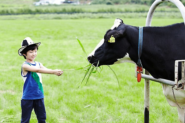 포토 JPG 주간 모자 한마리 학생 라이프스타일 응시 어린이교육 교육 남자 어린이라이프 초등학생 어린이 포즈 포유류 모션 한명 서기 미소 웃음 사람 동양인 소년 초원 상반신 야외 라이프 10대 농장 목장 한국인 농촌 시골 체험학습 체험 풀 소 숲 먹이 젖소 주기 목장체험 여물 남자만 남자한명만 십대만 십대남자만 십대남자한명만 국내포토 자연요소 식물 동물 1 시선 잡화 컨셉 농업 청소년 표정 인종 생활 파일형식