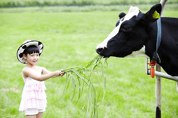 포토 JPG 주간 모자 한마리 학생 라이프스타일 응시 여자 어린이교육 교육 어린이라이프 초등학생 어린이 포즈 포유류 모션 한명 서기 미소 웃음 사람 동양인 소녀 초원 상반신 야외 라이프 10대 농장 목장 한국인 농촌 시골 체험학습 체험 풀 소 숲 먹이 젖소 주기 목장체험 여물 여자만 여자한명만 소녀만 국내포토 자연요소 식물 동물 1 시선 잡화 컨셉 농업 청소년 표정 인종 생활 어린이만 파일형식