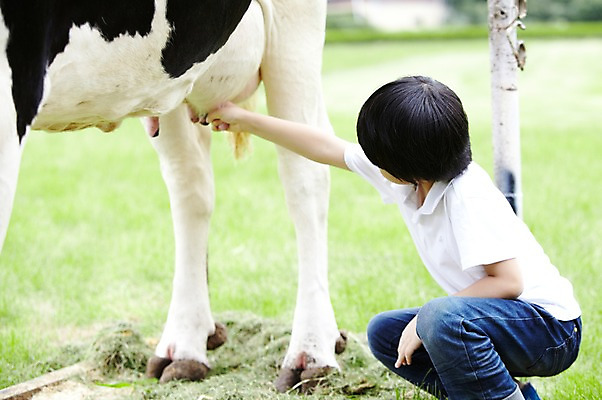 포토 JPG 주간 한마리 학생 라이프스타일 응시 어린이교육 교육 남자 어린이라이프 초등학생 어린이 포즈 포유류 모션 한명 미소 웃음 사람 앉기 동양인 소년 초원 야외 라이프 10대 농장 목장 한국인 우유 농촌 시골 체험학습 체험 풀 소 숲 젖소 목장체험 우유짜기 짜기 남자만 남자한명만 십대만 십대남자만 십대남자한명만 국내포토 자연요소 식물 동물 1 시선 컨셉 농업 청소년 유제품 표정 인종 생활 파일형식