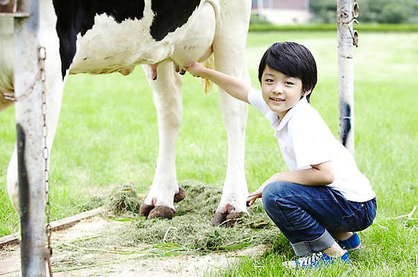 포토 JPG 주간 전신 한마리 학생 라이프스타일 어린이교육 교육 남자 어린이라이프 초등학생 어린이 포즈 포유류 모션 한명 미소 웃음 사람 앉기 동양인 소년 초원 야외 라이프 10대 농장 목장 한국인 우유 농촌 시골 체험학습 체험 풀 소 숲 젖소 목장체험 우유짜기 짜기 남자만 남자한명만 십대만 십대남자만 십대남자한명만 국내포토 자연요소 식물 동물 1 컨셉 농업 청소년 유제품 표정 인종 생활 파일형식