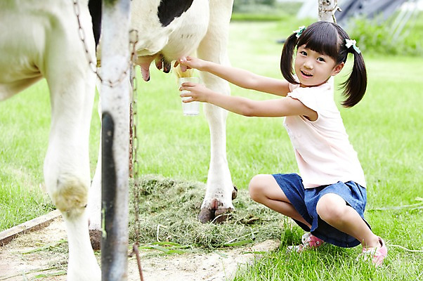 포토 JPG 주간 전신 한마리 학생 라이프스타일 여자 어린이교육 교육 어린이라이프 초등학생 어린이 포즈 포유류 모션 한명 미소 웃음 사람 앉기 동양인 소녀 초원 야외 라이프 10대 농장 목장 한국인 우유 농촌 시골 체험학습 체험 풀 소 숲 젖소 목장체험 우유짜기 짜기 여자만 여자한명만 소녀만 국내포토 자연요소 식물 동물 1 컨셉 농업 청소년 유제품 표정 인종 생활 어린이만 파일형식