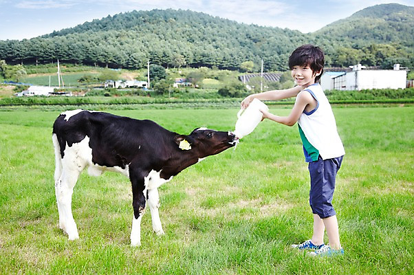 포토 JPG 주간 전신 한마리 학생 라이프스타일 어린이교육 교육 남자 어린이라이프 초등학생 어린이 포즈 포유류 모션 산 한명 서기 미소 웃음 사람 동양인 소년 초원 야외 라이프 10대 농장 목장 한국인 우유 농촌 시골 체험학습 체험 풀 소 숲 젖소 주기 목장체험 남자만 남자한명만 십대만 십대남자만 십대남자한명만 국내포토 자연요소 식물 동물 1 컨셉 농업 청소년 유제품 표정 인종 생활 파일형식