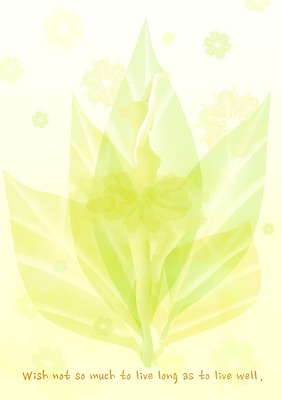 PSD 식물 템플릿 문자 문양 영어 여자 포즈 백그라운드 잎 무늬 카드템플릿 나뭇잎 한명 사람 연두색 단어 댄서 춤 발레 발레리나 이미지템플릿 직업 1 문화예술 카드_감사 초록색 파일형식