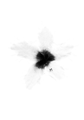 모양 PSD 동양문화 문양 꽃 캘리배경 백그라운드 꽃무늬 일러스트 캘리그라피 붓터치 서예 잉크 사람없음 터치 먹 번짐 국내일러스트 식물 한국전통 문화 무늬 파일형식 효과 전통 한국 아시아 나라