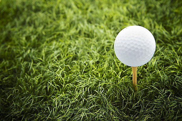 포토 JPG 스튜디오촬영 스포츠용품 스포츠 골프 공 골프공 실내 잔디 사람없음 오브젝트 골프티 국내포토 식물 골프용품 내부 구기 파일형식