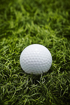 포토 JPG 스튜디오촬영 스포츠용품 스포츠 골프 공 골프공 실내 잔디 사람없음 오브젝트 국내포토 식물 골프용품 내부 구기 파일형식