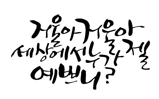 EPS 문자 손글씨 백그라운드 일러스트 캘리그라피 타이포그라피 글자캘리그라피 한글 사람없음 세계 거울 질문 국내일러스트 파일형식 벡터