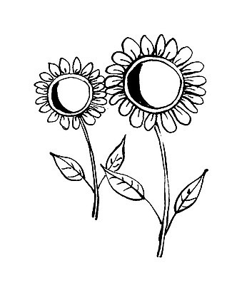 EPS 문자 손글씨 꽃 백그라운드 일러스트 캘리그라피 해바라기 타이포그라피 글자캘리그라피 사람없음 두송이 그림 국내일러스트 식물 2 파일형식 벡터