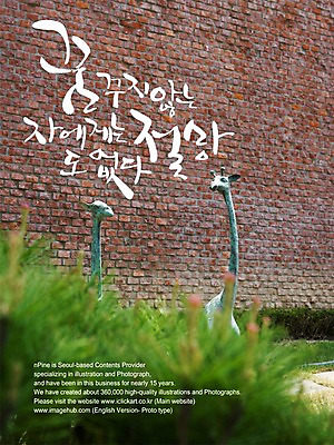 PSD 식물 편집이미지 문자 손글씨 벽 캘리배경 백그라운드 캘리편집 캘리그라피 벽돌 타이포그라피 글자캘리그라피 한글 사람없음 희망 꿈 돌_바위 좌절 벽돌무늬 이미지편집 감정 컨셉 무늬 파일형식